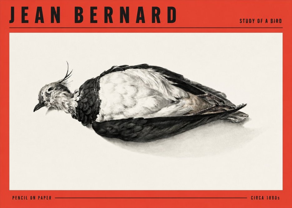 Jean Bernard Study of a Bird II No3 - Affiche