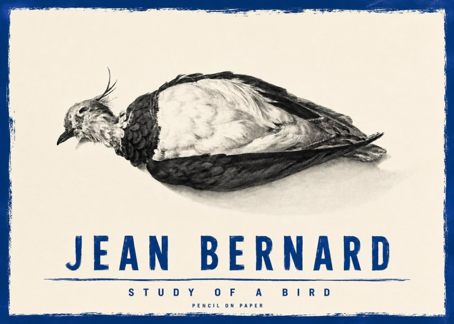 Jean Bernard Study of a Bird II No4 - Affiche