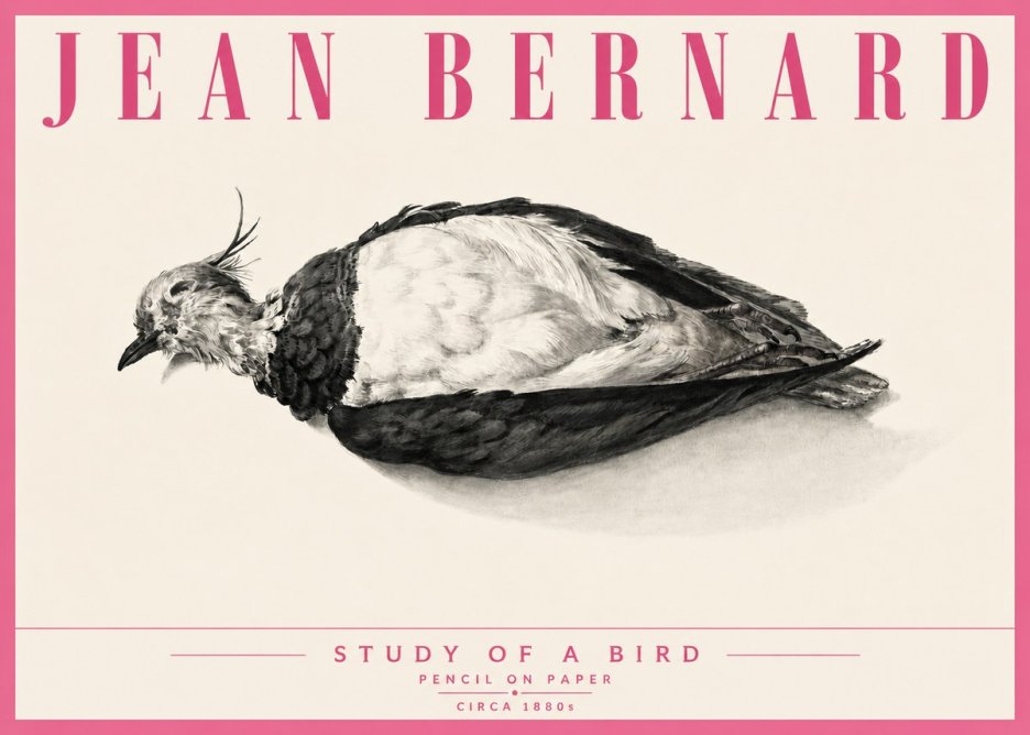 Jean Bernard Study of a Bird II No6 - Affiche