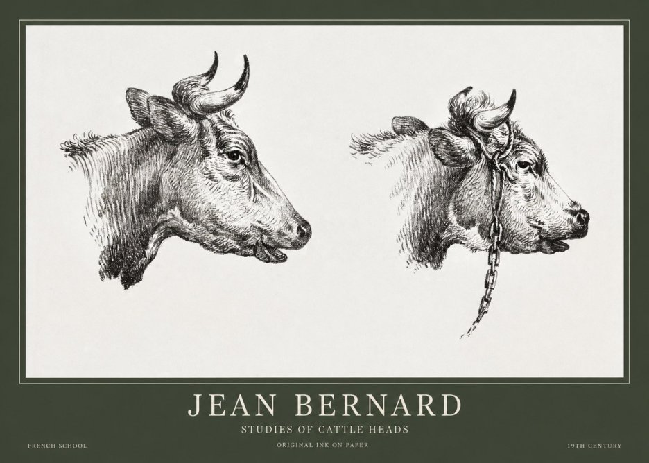 Jean Bernard Studies of Cattle Heads No1 - Affiche