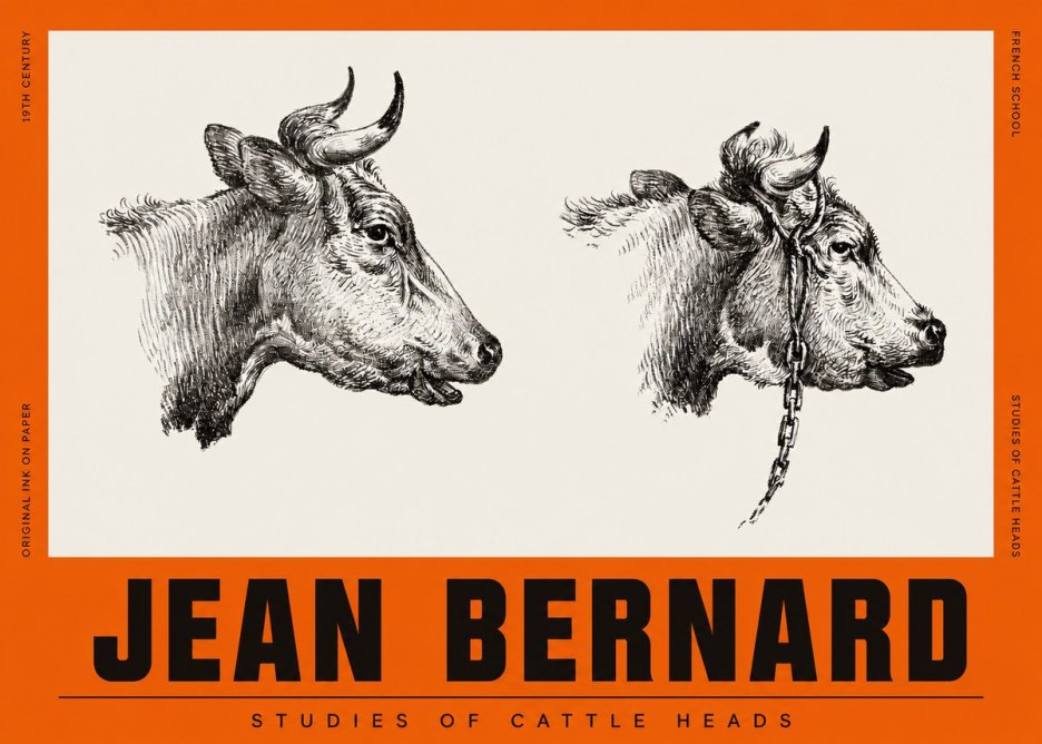Jean Bernard Studies of Cattle Heads No2 - Affiche