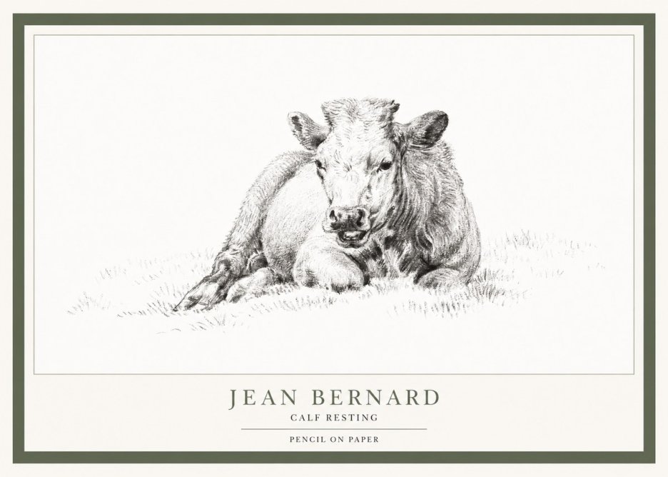 Jean Bernard Calf Resting No1 - Affiche