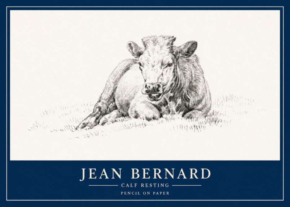 Jean Bernard Calf Resting No3 - Affiche
