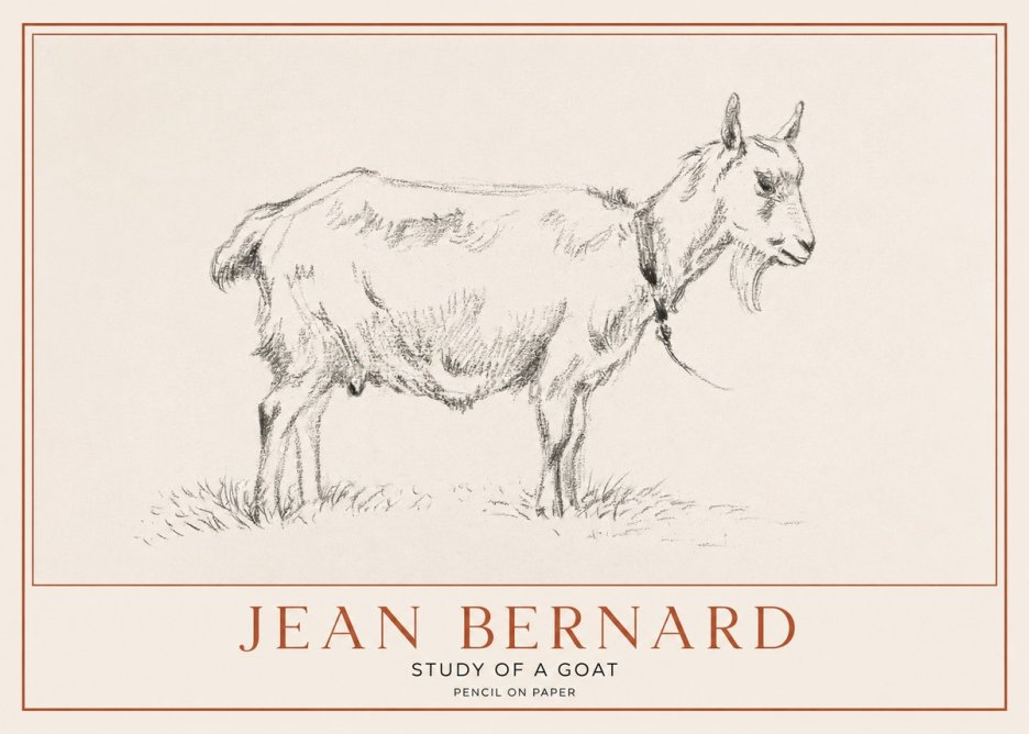 Jean Bernard Study of a Goat III No1 - Affiche