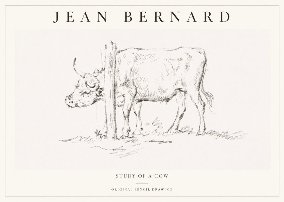 Jean Bernard Study of a Cow VII No1 - Affiche