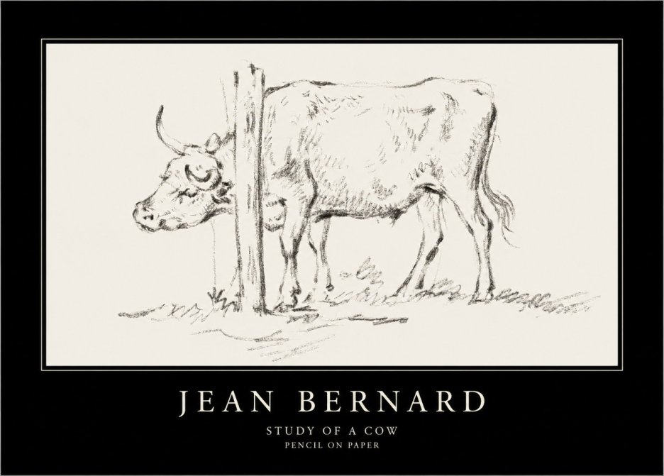 Jean Bernard Study of a Cow VII No4 - Affiche