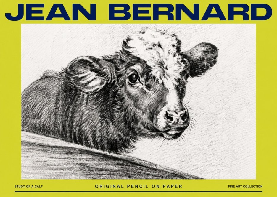 Jean Bernard Study of a Calf II No4 - Affiche