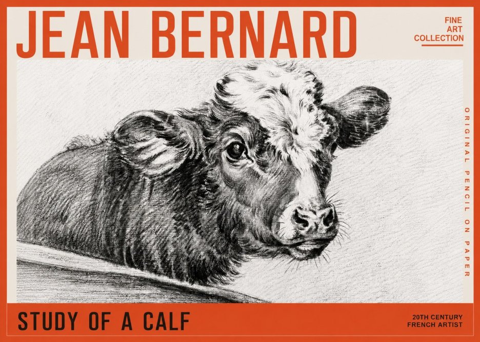 Jean Bernard Study of a Calf II No5 - Affiche