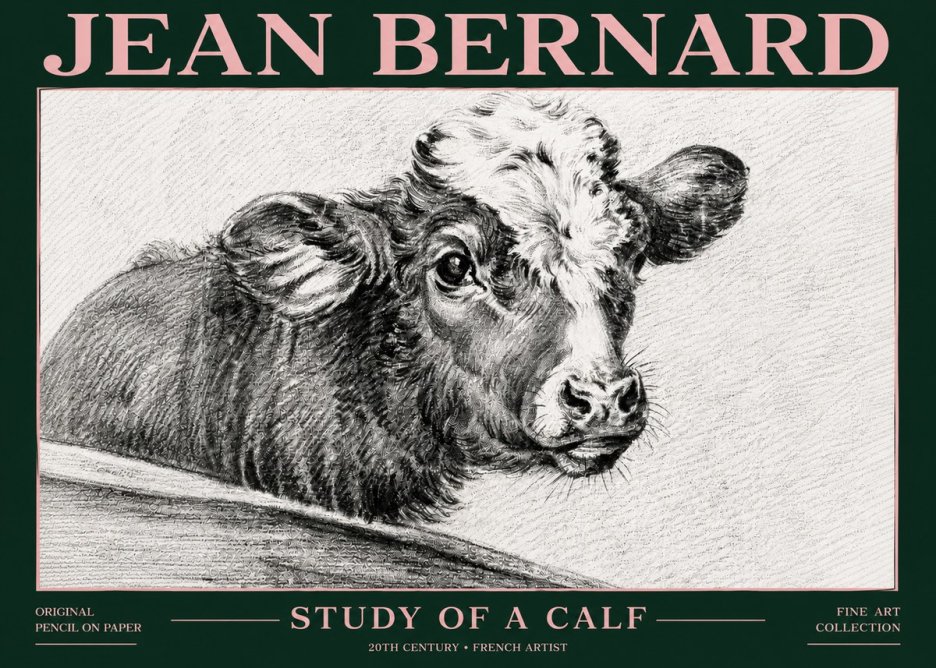 Jean Bernard Study of a Calf II No6 - Affiche
