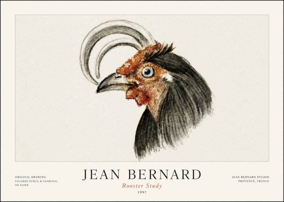Jean Bernard Rooster Study No1 - Affiche
