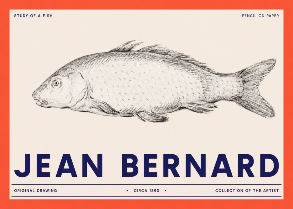 Jean Bernard Study of a Fish III No2 - Affiche