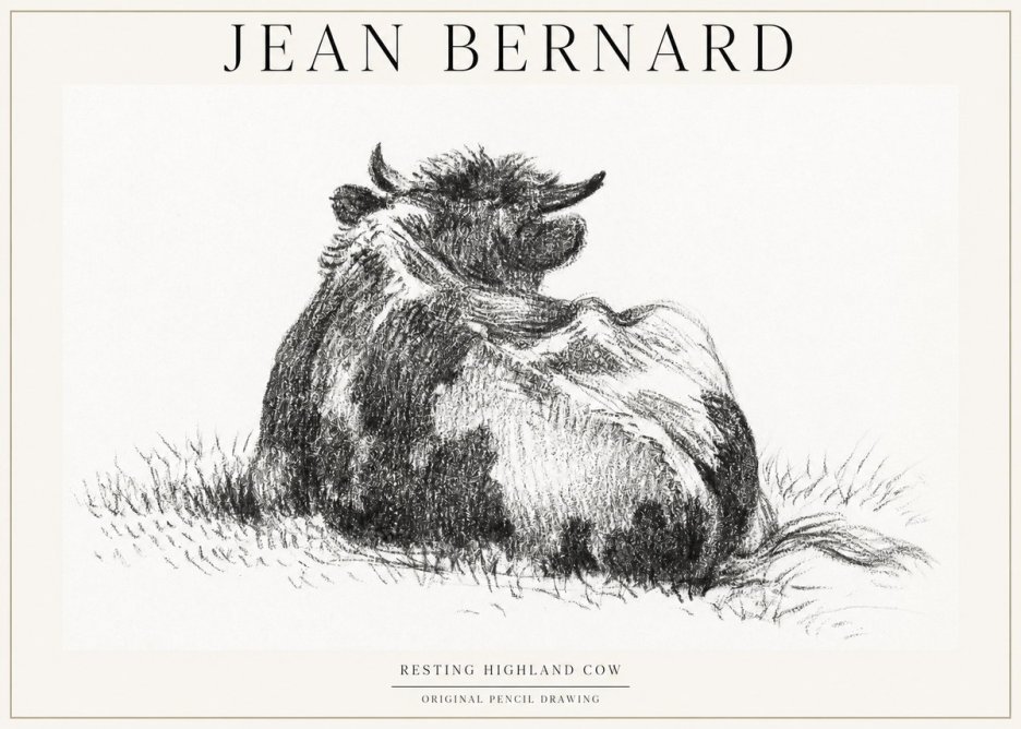 Jean Bernard Resting Highland Cow No1 - Affiche