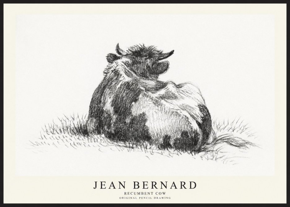 Jean Bernard Resting Highland Cow No3 - Affiche