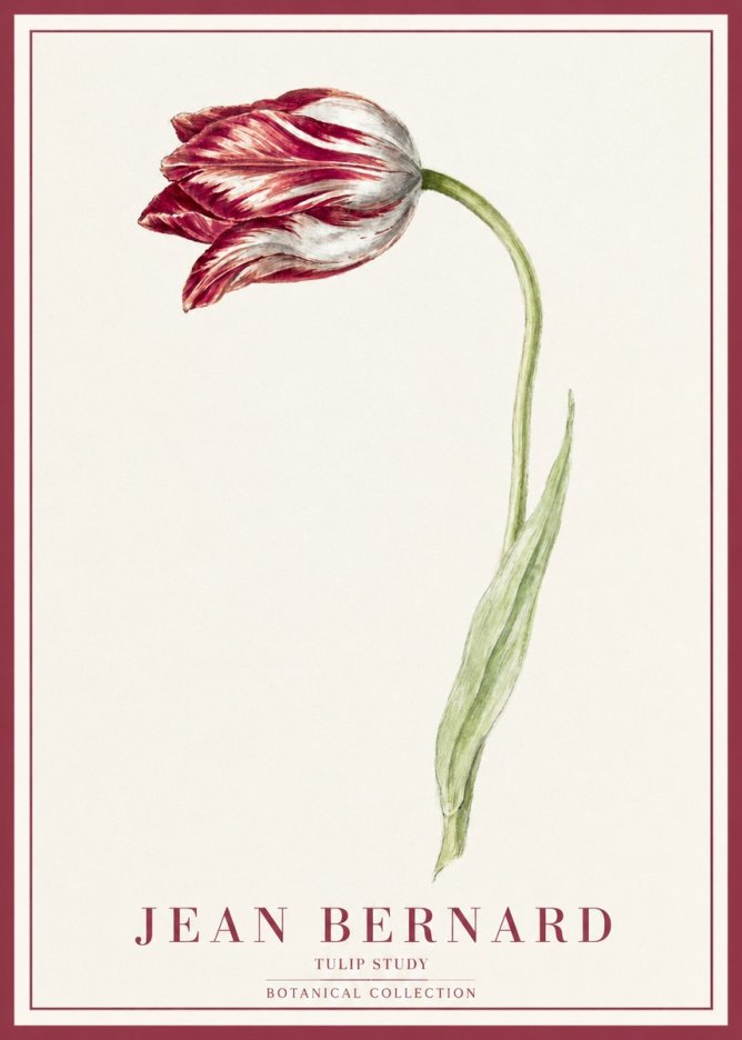 Jean Bernard Tulip Study No1 - Affiche