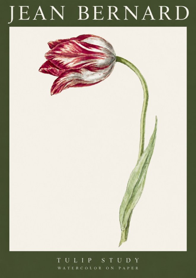 Jean Bernard Tulip Study No3 - Affiche