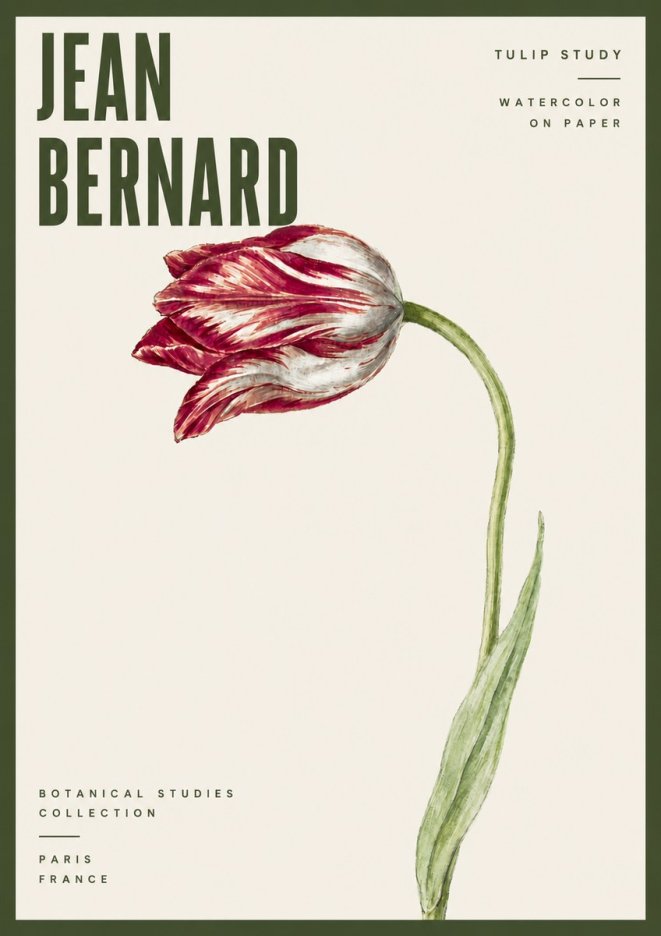 Jean Bernard Tulip Study No6 - Affiche