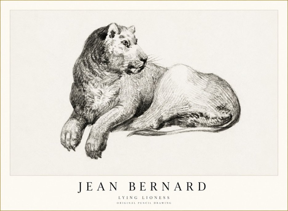 Jean Bernard Lying Lioness No1 - Affiche