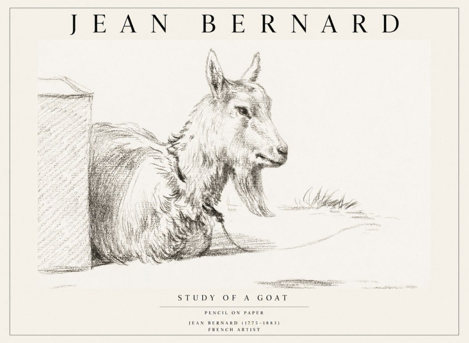Jean Bernard Study of a Goat IV No1 - Affiche