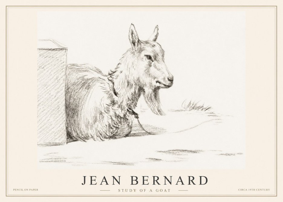 Jean Bernard Study of a Goat IV No2 - Affiche