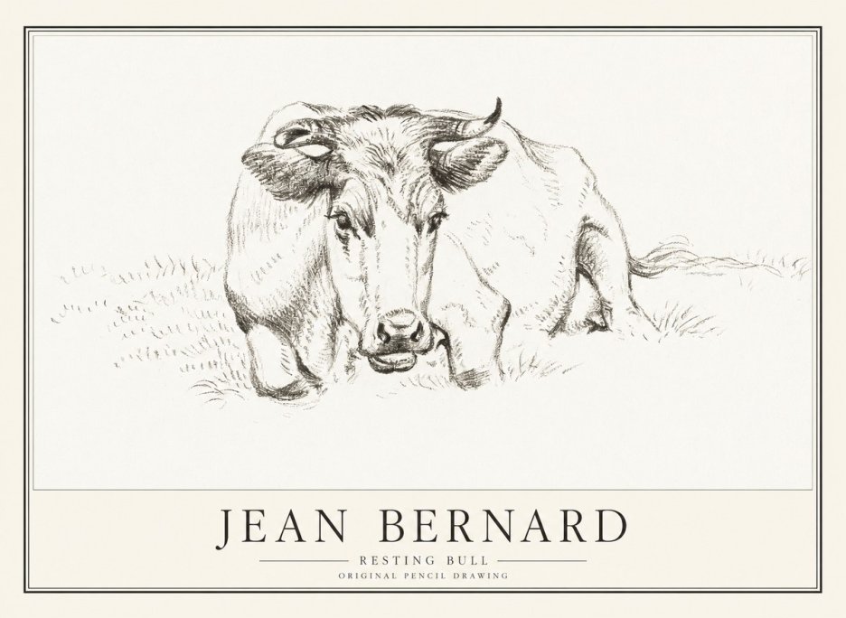 Jean Bernard Resting Cow II No4 - Affiche