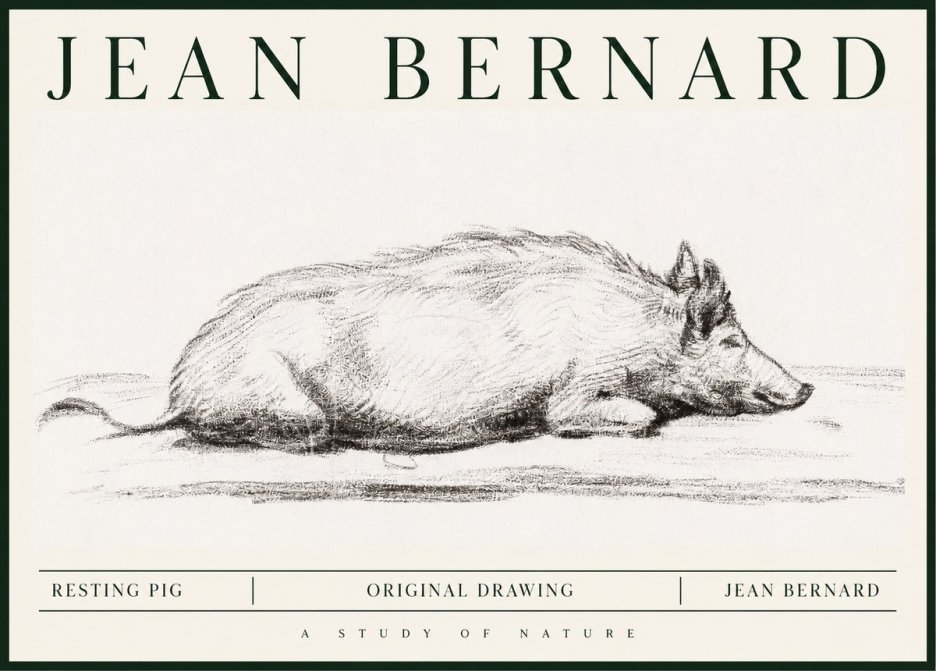 Jean Bernard Resting Pig I No1 - Affiche