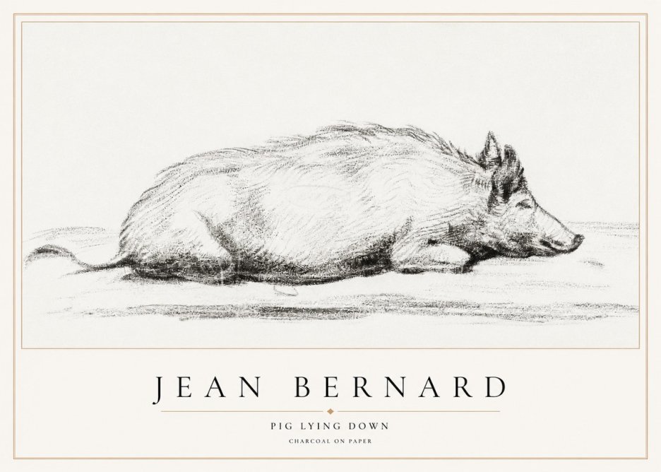 Jean Bernard Resting Pig I No2 - Affiche
