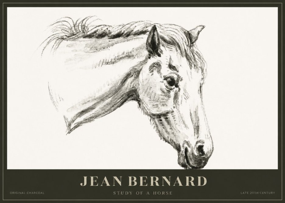 Jean Bernard Study of a Horse VIII No1 - Affiche