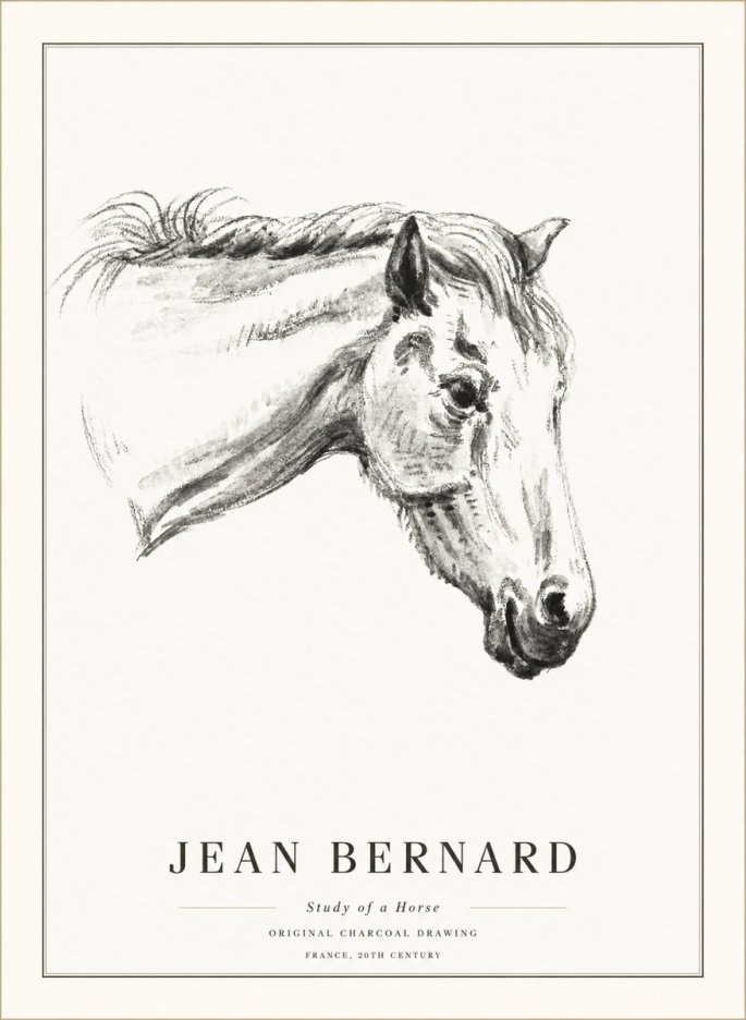 Jean Bernard Study of a Horse VIII No5 - Affiche