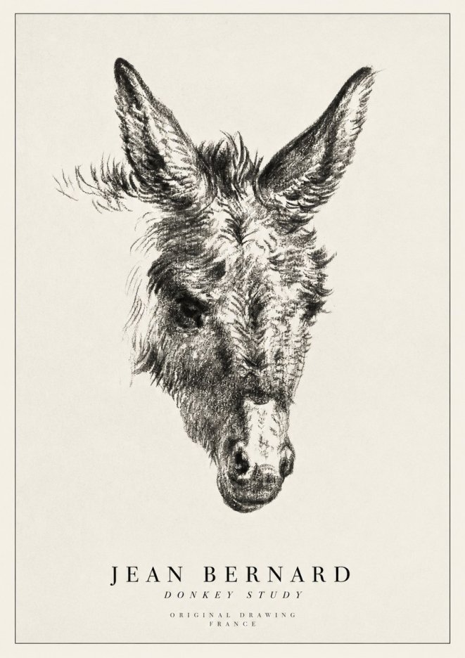Jean Bernard Donkey Study IV No1 - Affiche