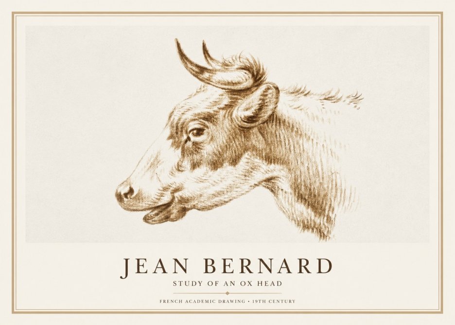 Jean Bernard Bovine Study II No3 - Affiche