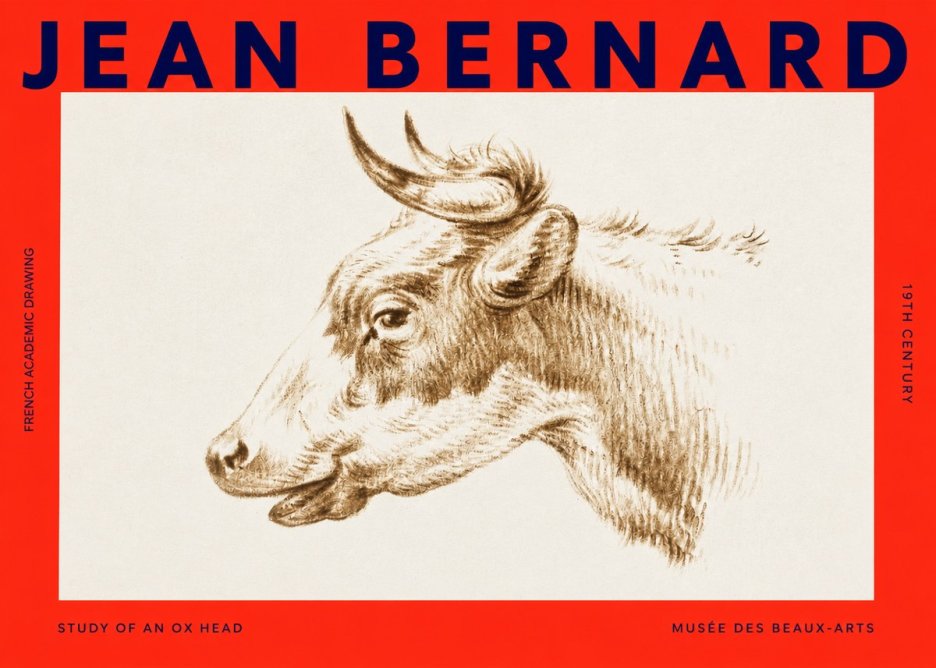 Jean Bernard Bovine Study II No4 - Affiche