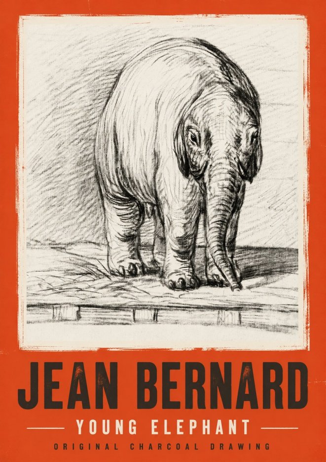Jean Bernard Young Elephant No2 - Affiche
