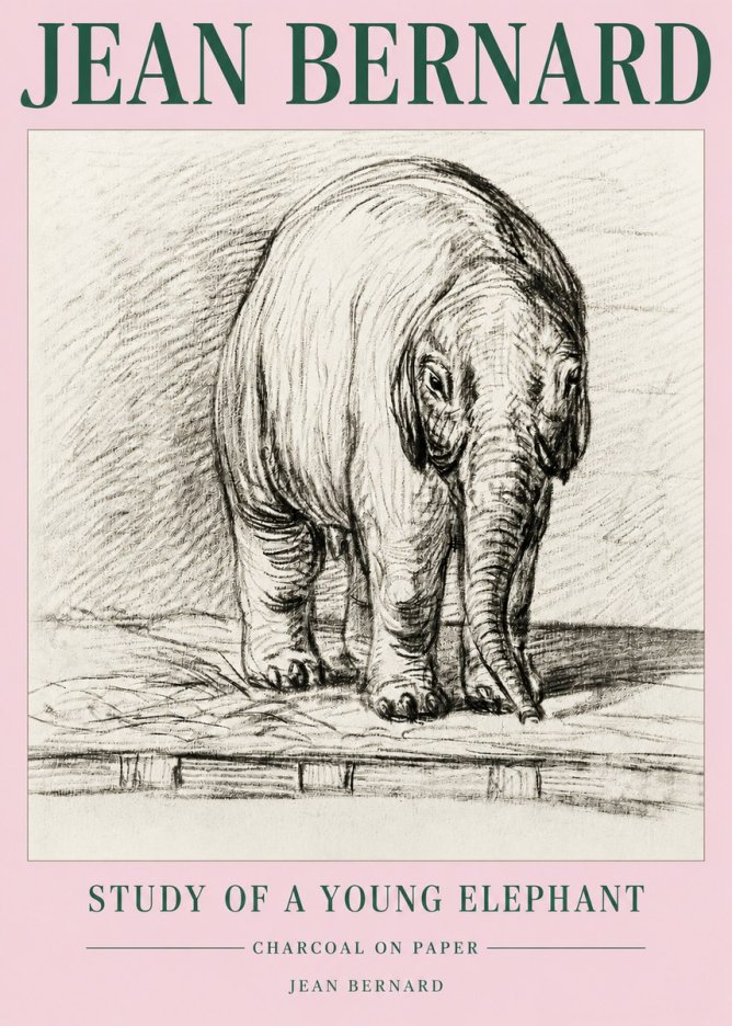 Jean Bernard Young Elephant No5 - Affiche