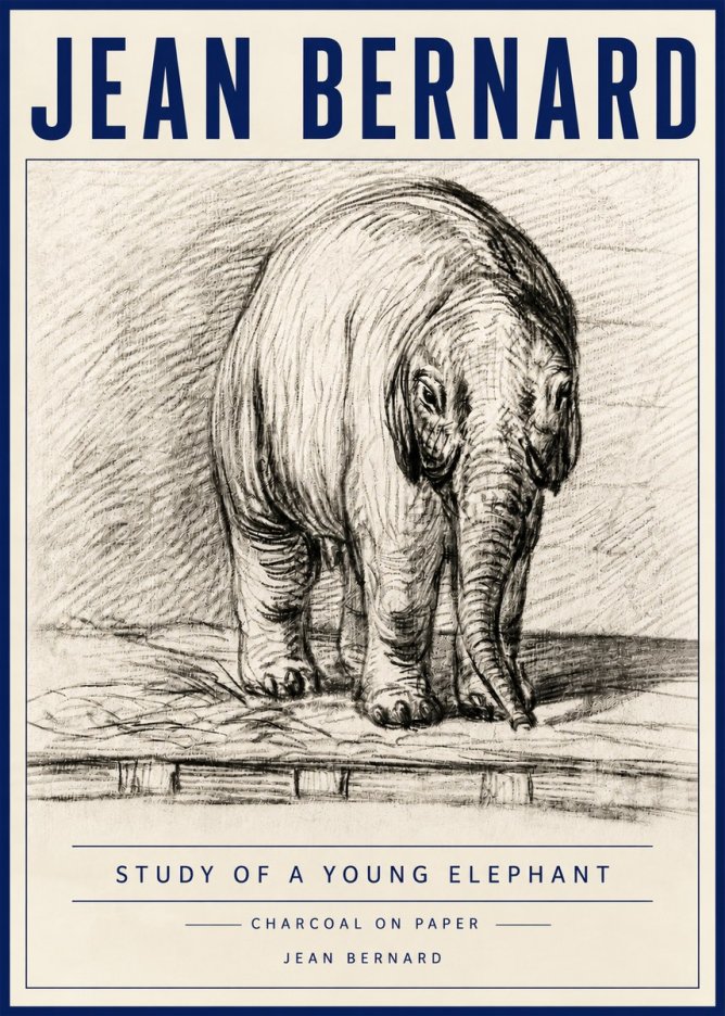 Jean Bernard Young Elephant No6 - Affiche