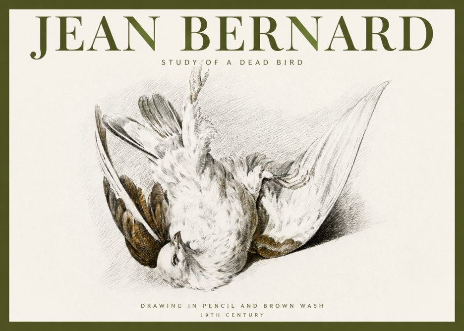 Jean Bernard Study of a Dead Bird No2 - Affiche
