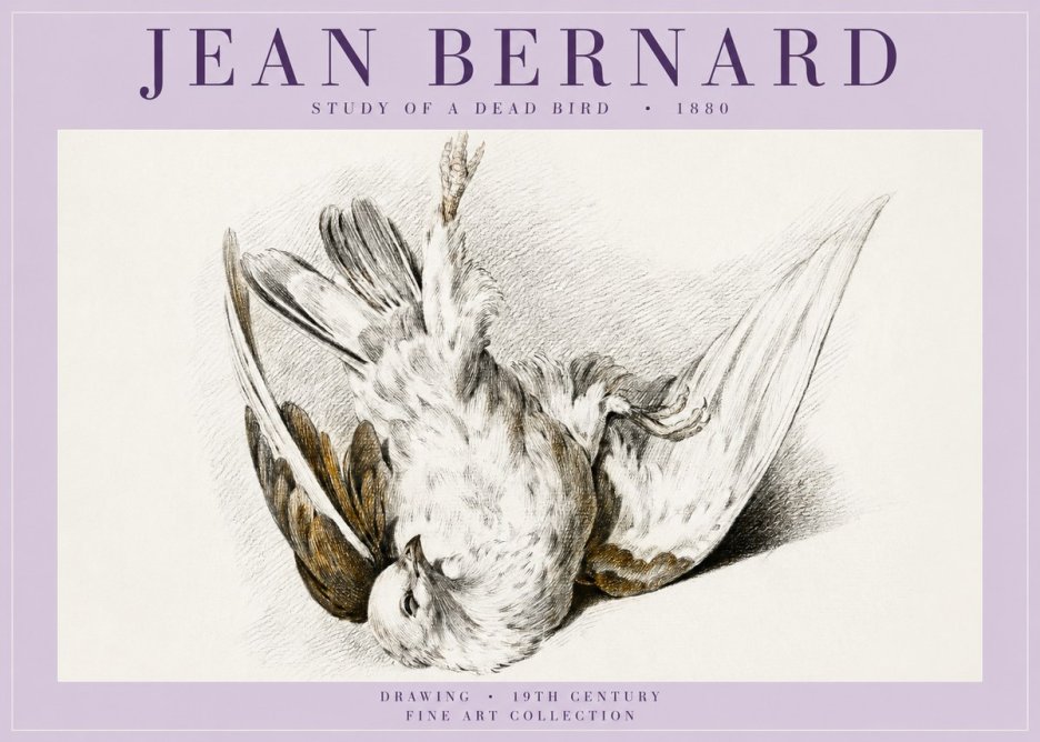 Jean Bernard Study of a Dead Bird No5 - Affiche