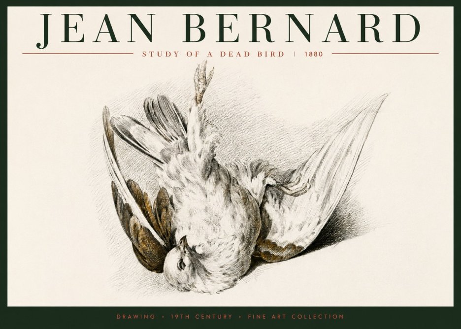 Jean Bernard Study of a Dead Bird No6 - Affiche
