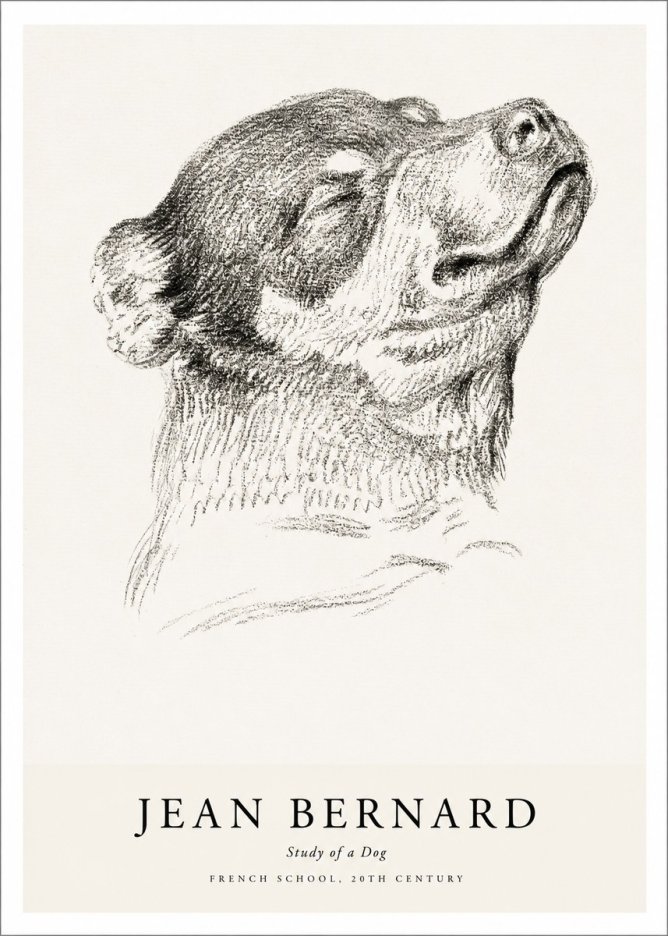Jean Bernard Study of a Dog III No1 - Affiche