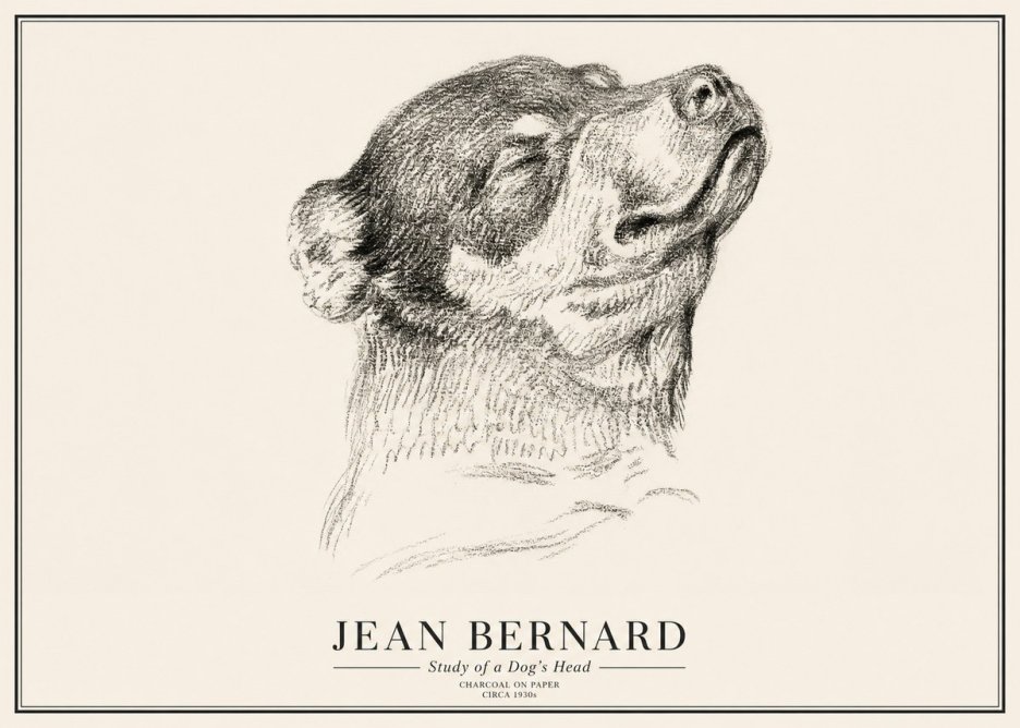 Jean Bernard Study of a Dog III No3 - Affiche