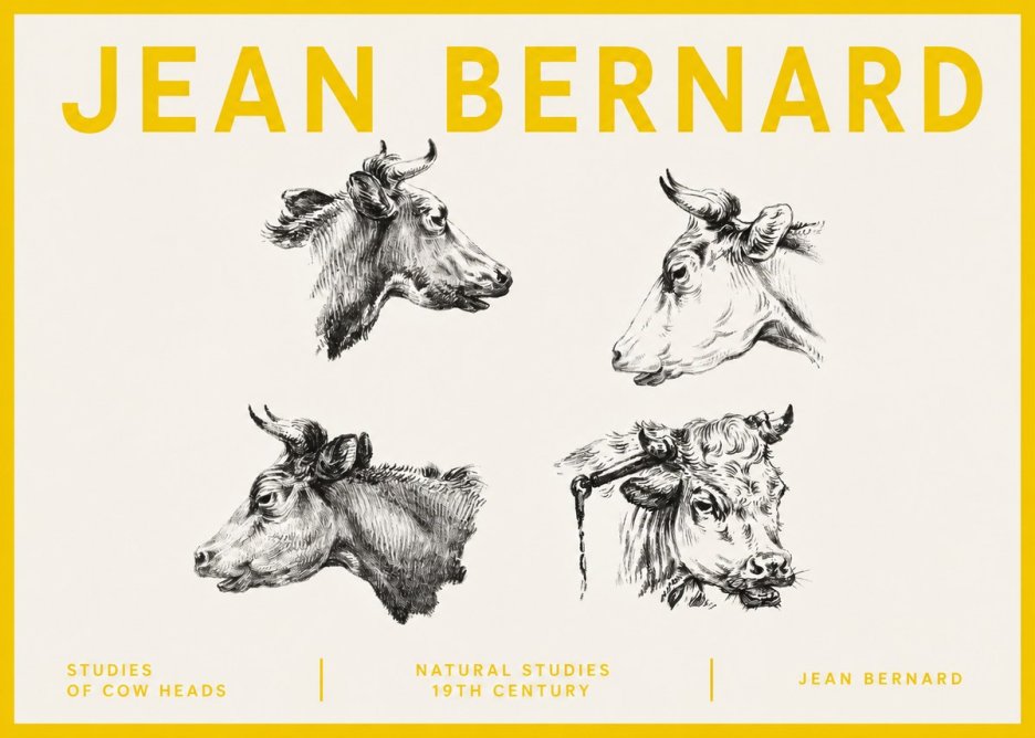 Jean Bernard Studies of Cattle - Four Heads No5 - Affiche