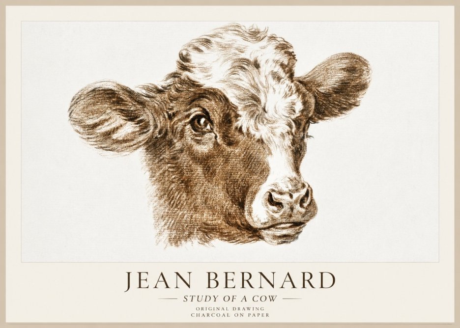 Jean Bernard Study of a Cow VIII No1 - Affiche