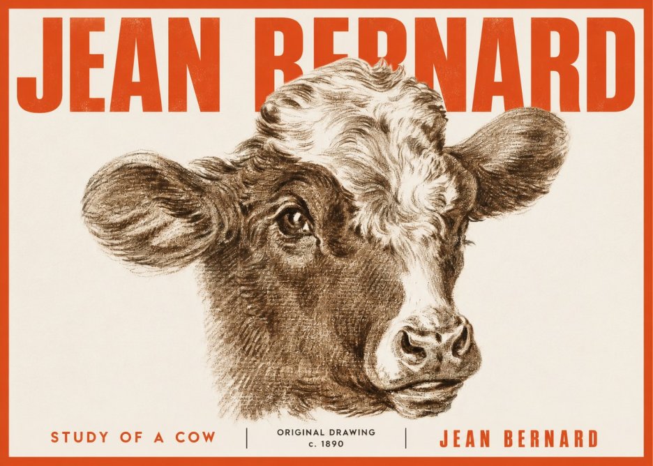 Jean Bernard Study of a Cow VIII No4 - Affiche