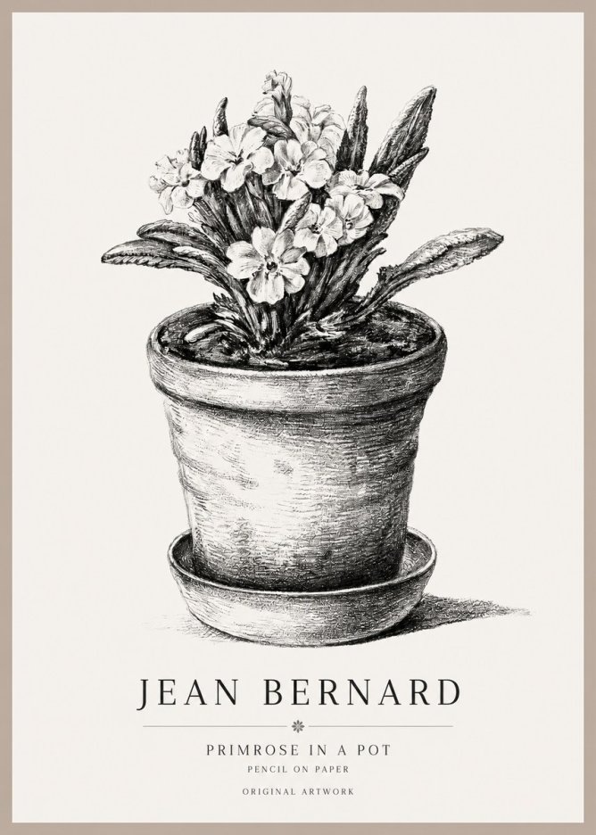 Jean Bernard Potted Primrose No2 - Affiche