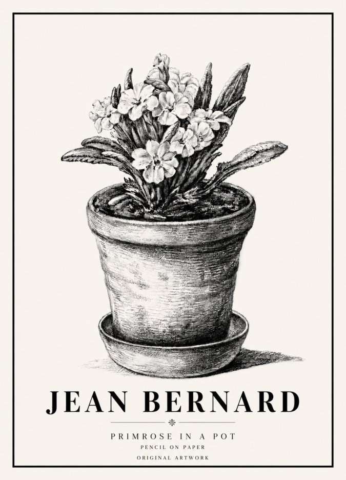 Jean Bernard Potted Primrose No6 - Affiche