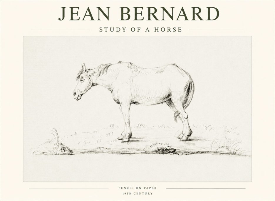 Jean Bernard Study of a Horse IX No1 - Affiche