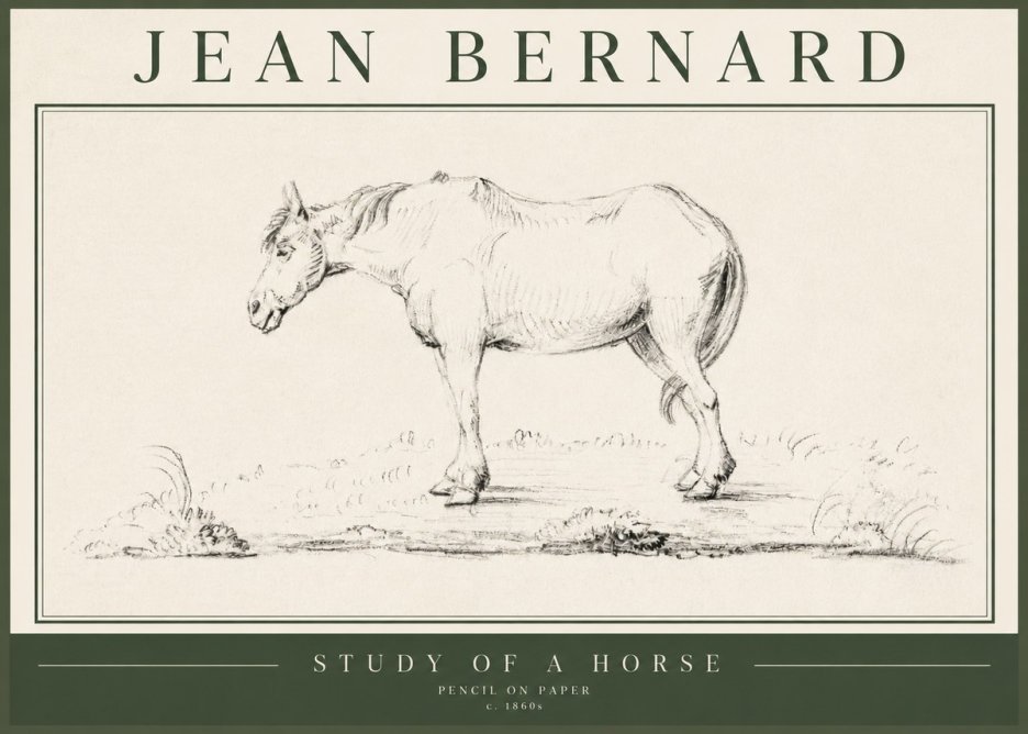 Jean Bernard Study of a Horse IX No5 - Affiche