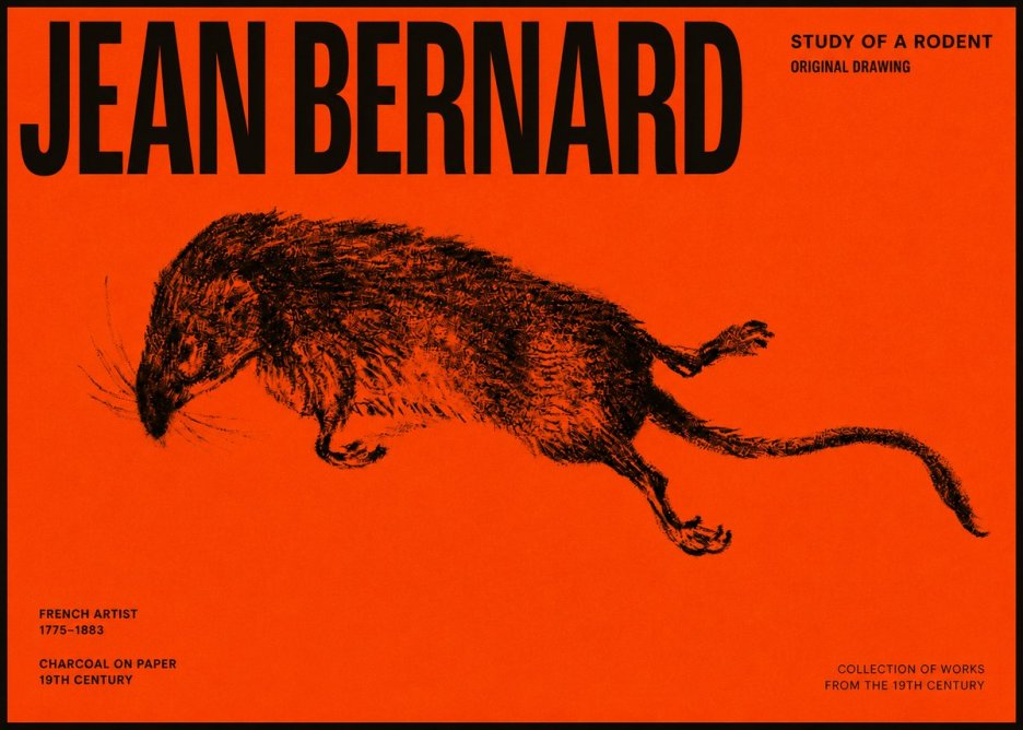 Jean Bernard Study of a Rat II No6 - Affiche