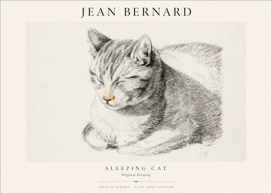 Jean Bernard Sleeping Cat VI No1 - Affiche