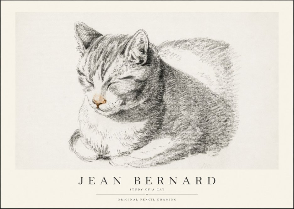 Jean Bernard Sleeping Cat VI No2 - Affiche