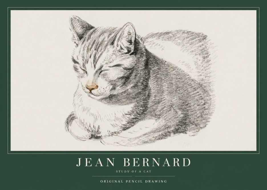 Jean Bernard Sleeping Cat VI No4 - Affiche